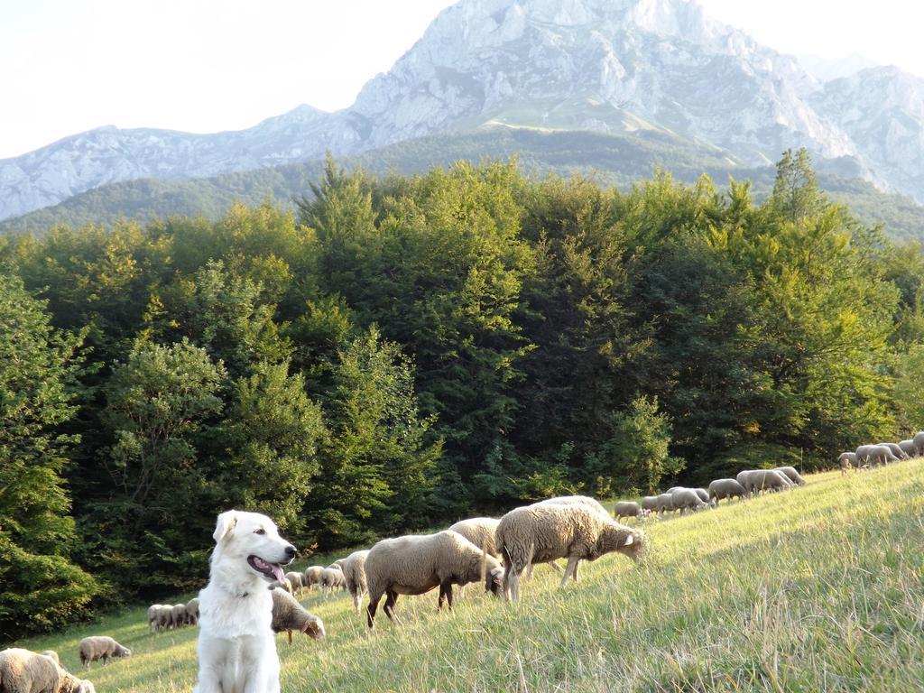 Hôtel Agriturismo Lu Formaggio à Castelli Extérieur photo